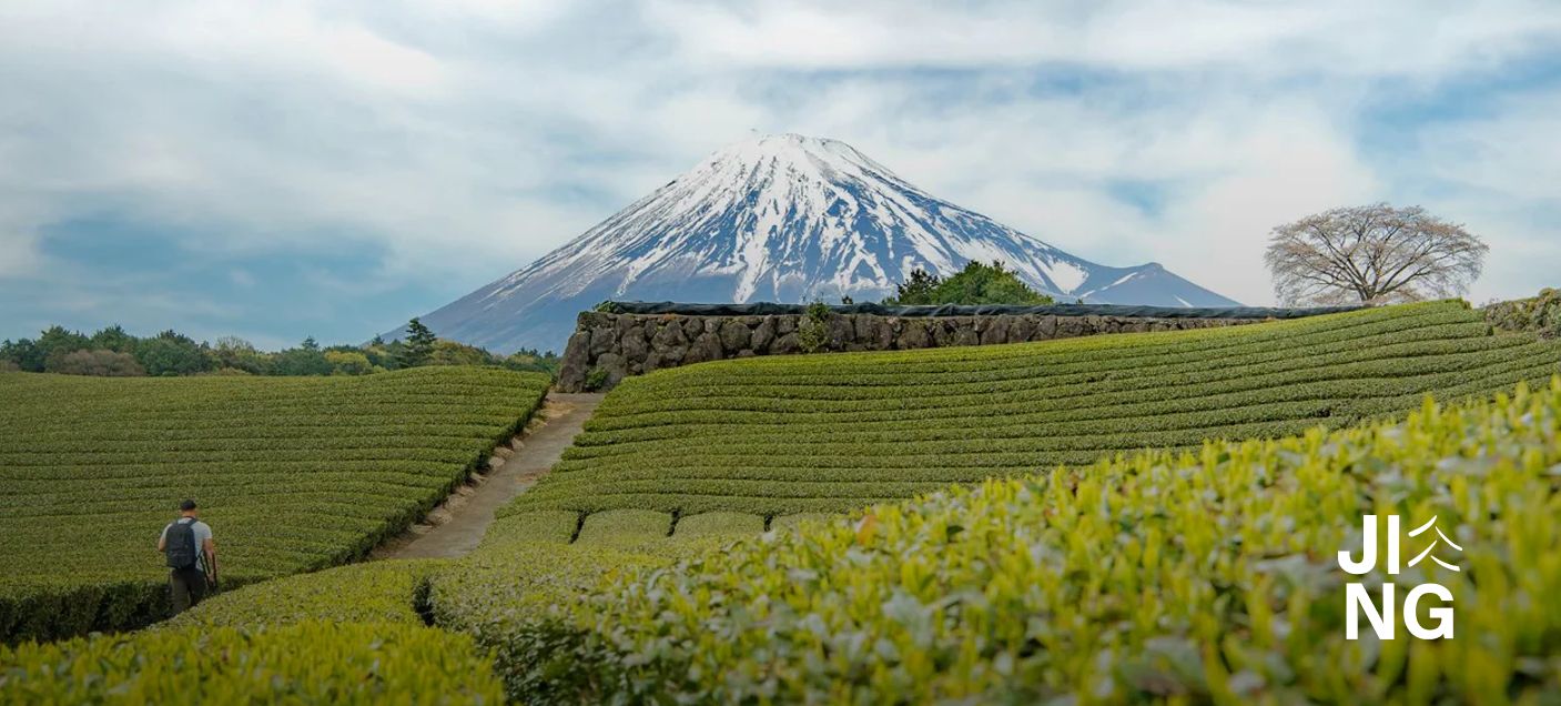 JING Tea | Multi-System Management Reporting Through a Full Tech Stack Migration